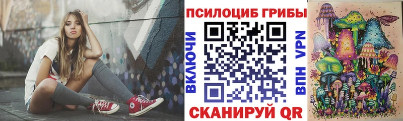 Купить закладки  Орёл  Псилоцибиновые грибы MAGIC MUSHROOMS 