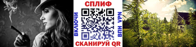 Купить Орёл Каннабис планчик